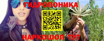 шишки Ипатово