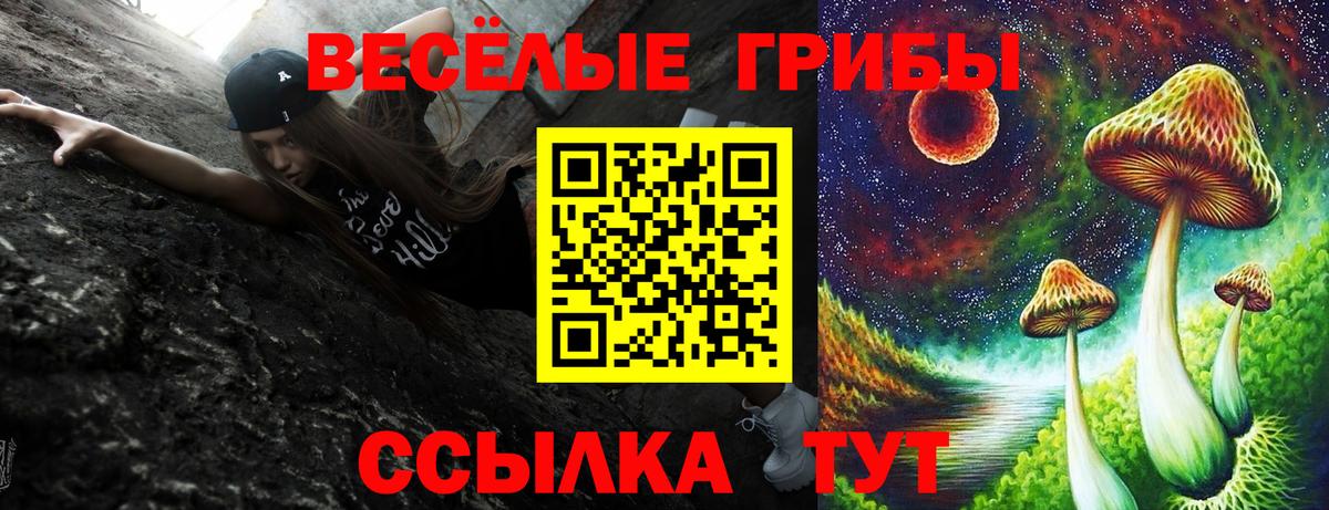 Галлюциногенные грибы Magic Shrooms Лосино-Петровский